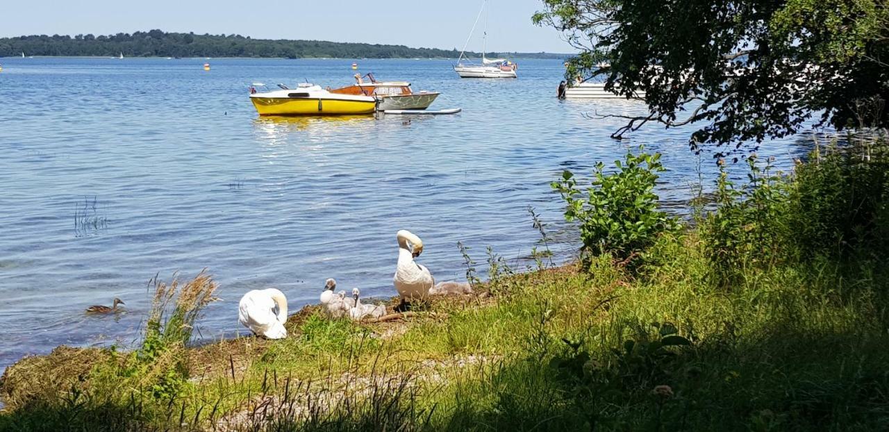 Ferienwohnung Am Schweriner See Raben Steinfeld エクステリア 写真